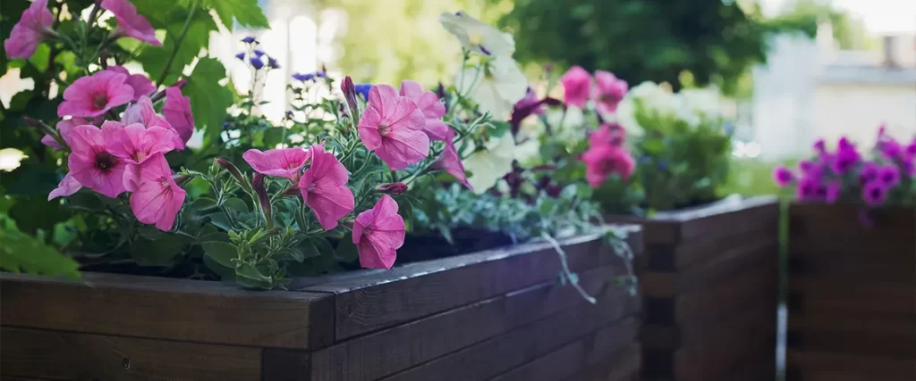 A container type of garden with flowers