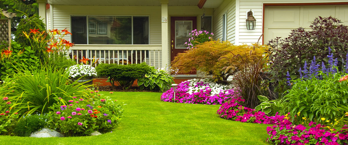 planting-a-flower-bed-how-to-create-an-attractive-landscape-on-your