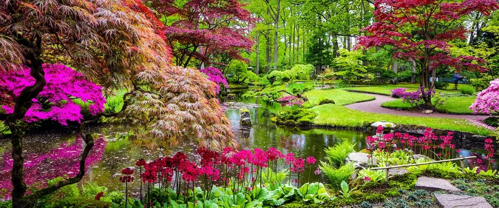 A Japanese garden
