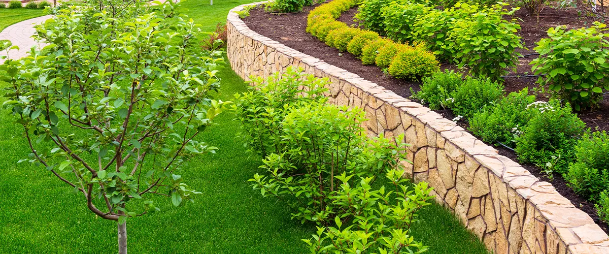 A retaining wall on a lawn with small trees