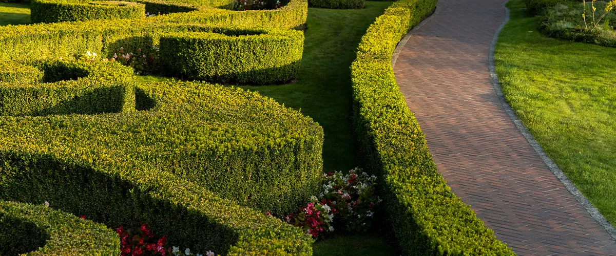 backyard walkway ideas