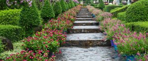 garden path