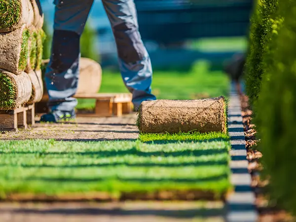 Building A Landscape With New Sod Grass