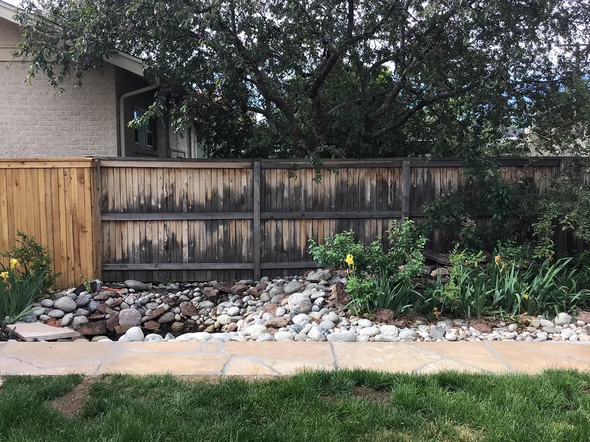 Picture of old backyard with old wooden fence with mold