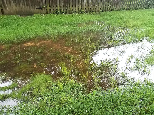 Water pooling on a lawn due to lack of drainage