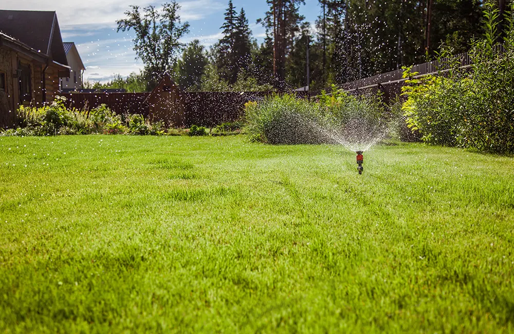 sprinkler system watering in the backyard