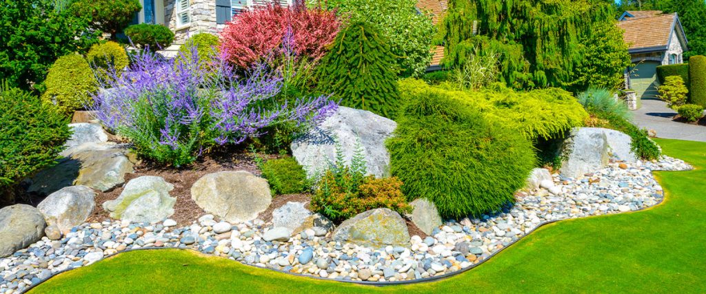Landscape with shrubs, flowers, and big boulders in front of a home in suburban area