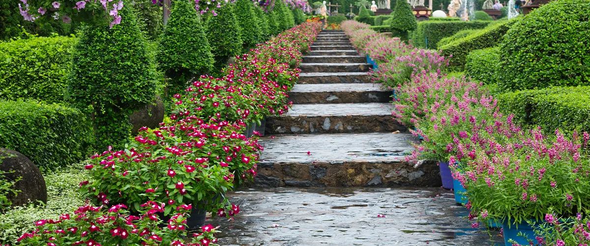 Paved stairs for a large mansion with outdoor plants and landscape design