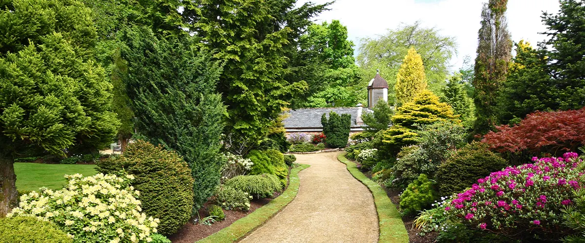 plants and trees in landscape