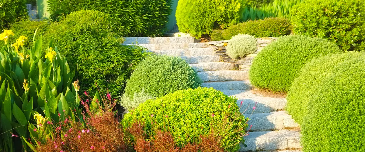 stone pathway in garden