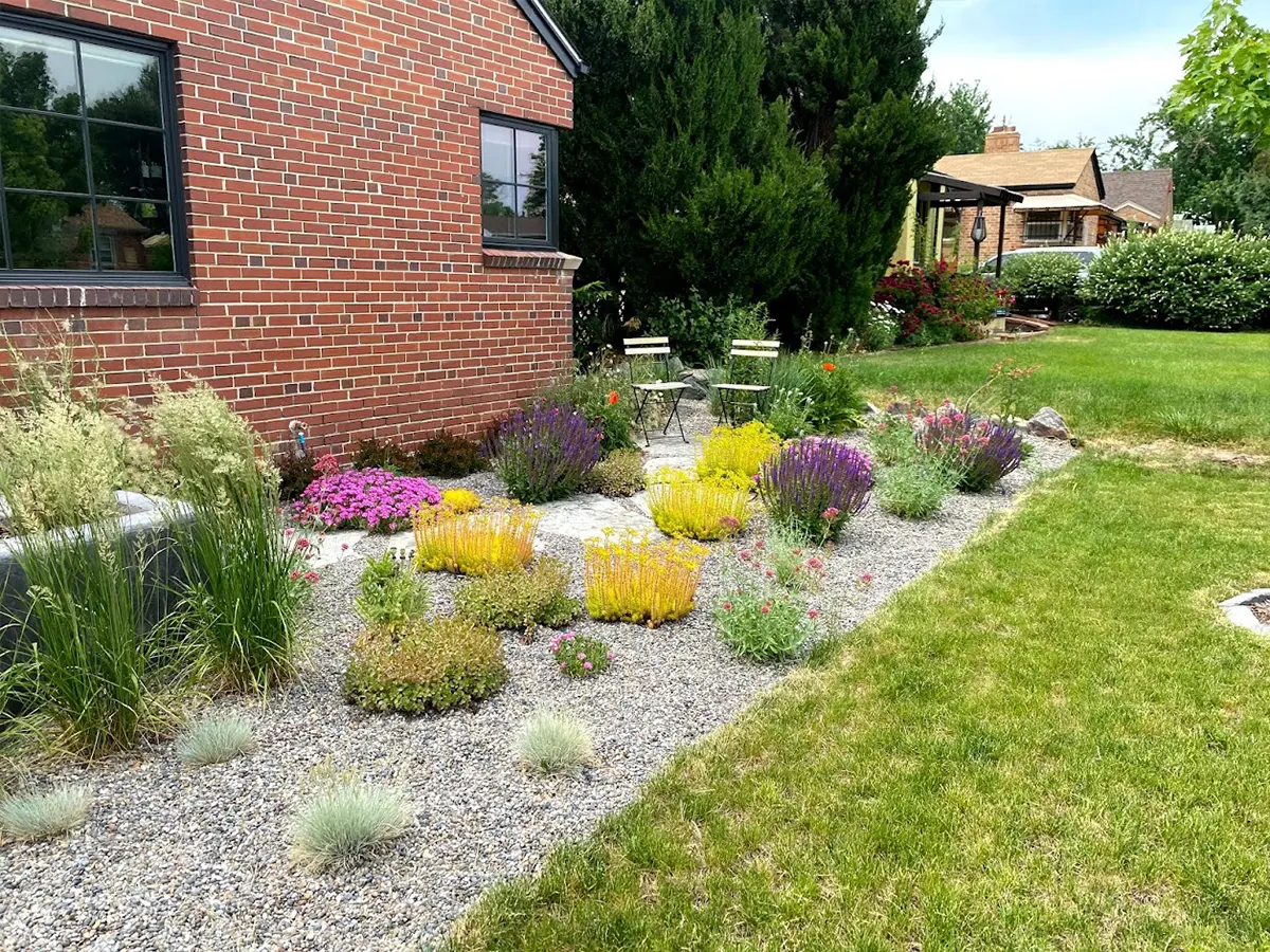 Front house After Xeriscaping Installation