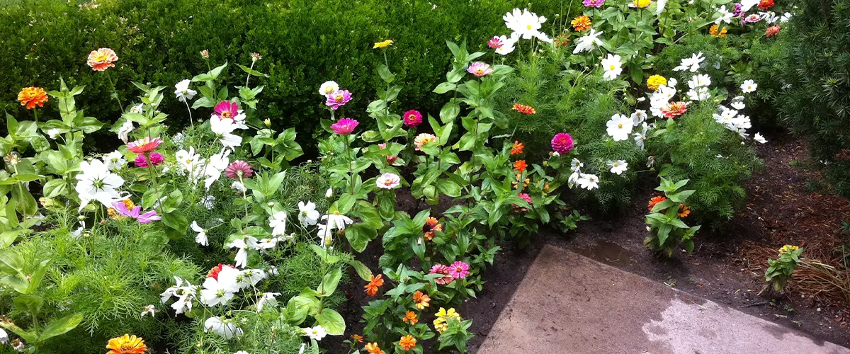 landscape arranged flower bed