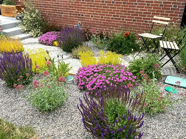 xeriscape landscaping enjoy in colorado