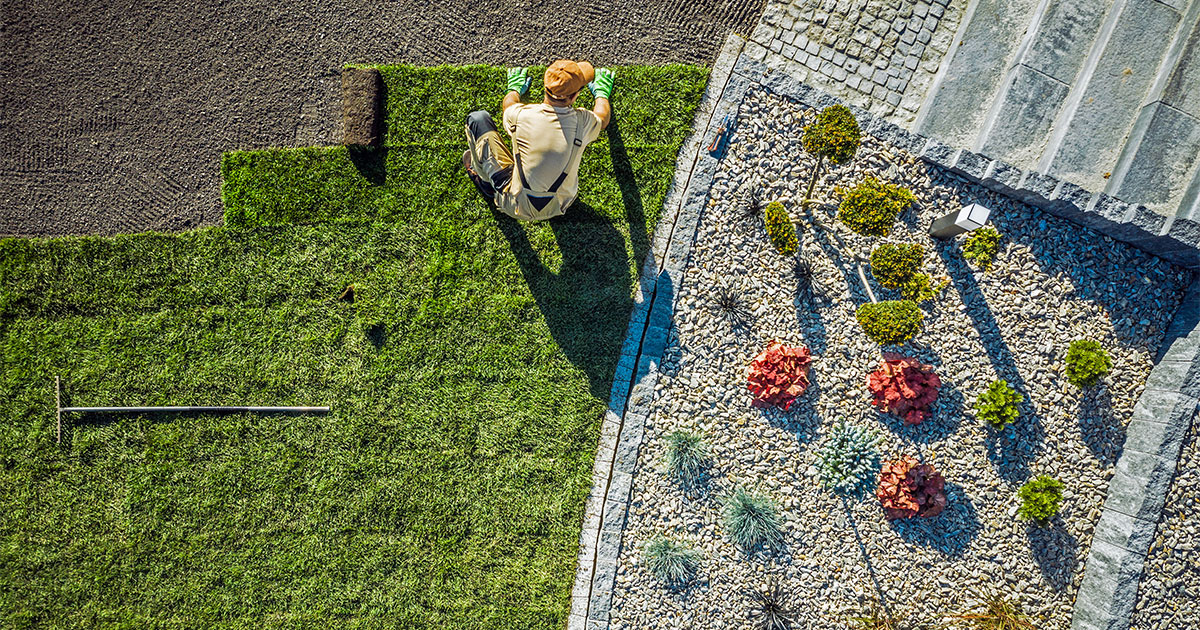 featured-image-landscaper-installing-lawn