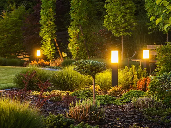 Modern outdoor lighting in a large backyard