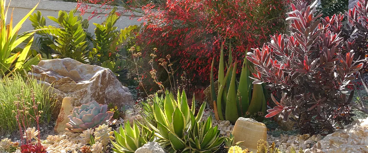 xeriscaping denver