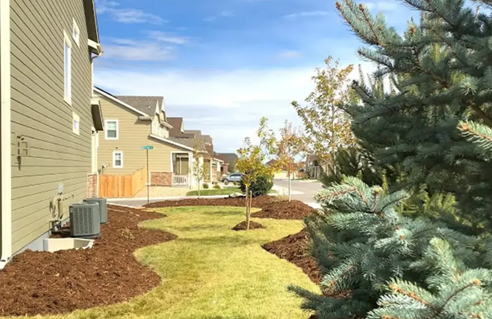 healthy lawn due to mulching techniques