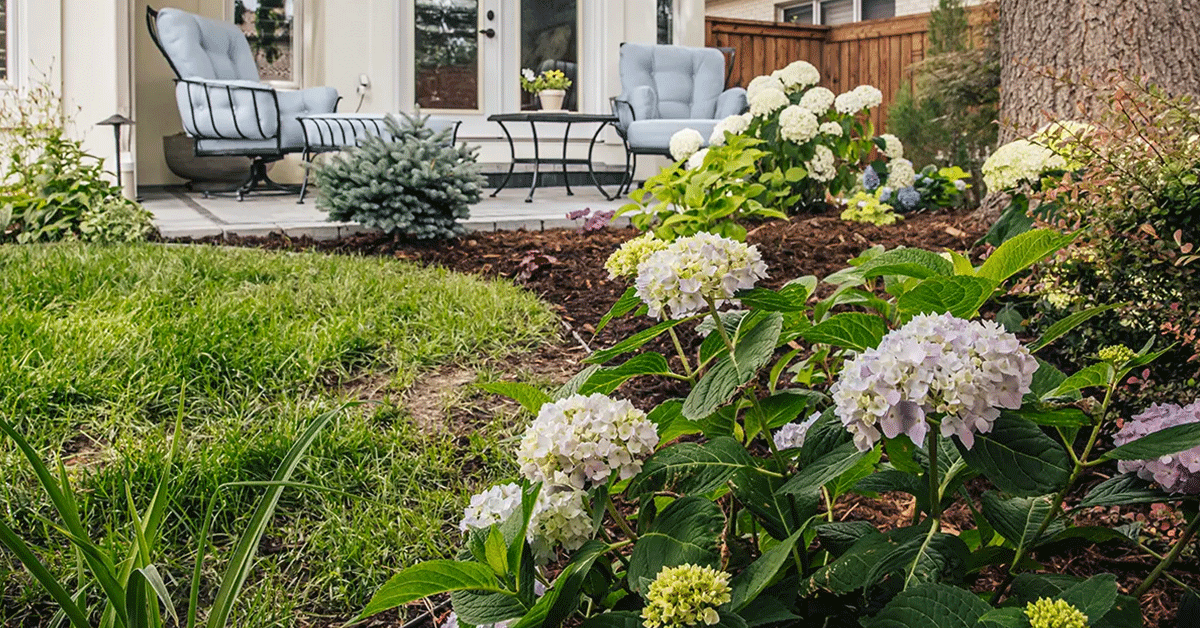 The best mulching services in Colorado