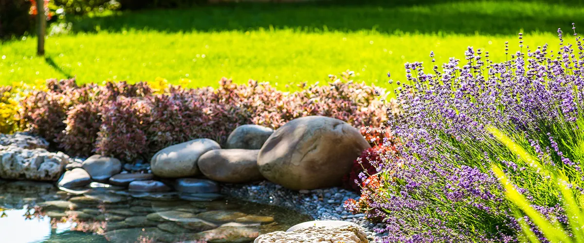 landscape with lawn and pond