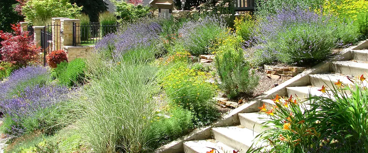 Xeriscaping Plants In Colorado Littleton