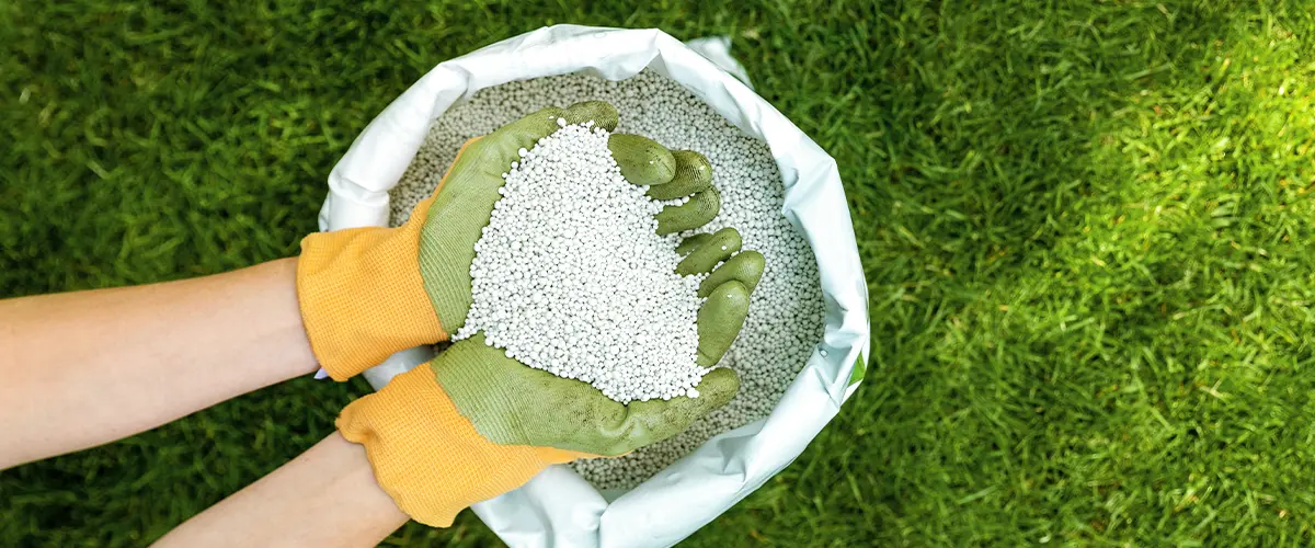 Hands With Bag Of Fertilizer Over Grass - Colorado Fertilization Tips