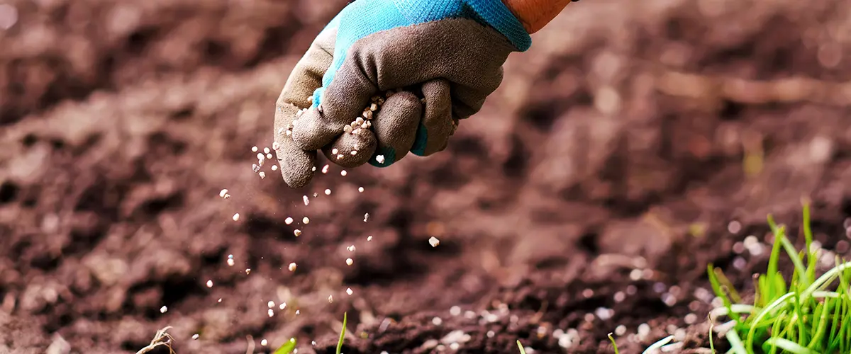 Sprinkling Fertilizer Timing For Early Spring in Colorado