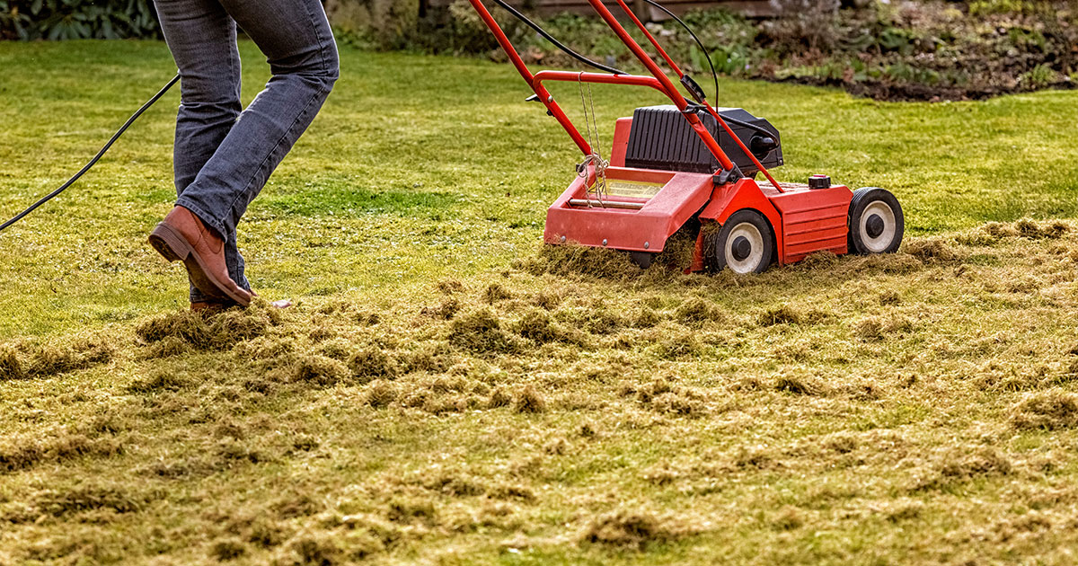 Dethatching the Lawn with an Electric Dethatcher