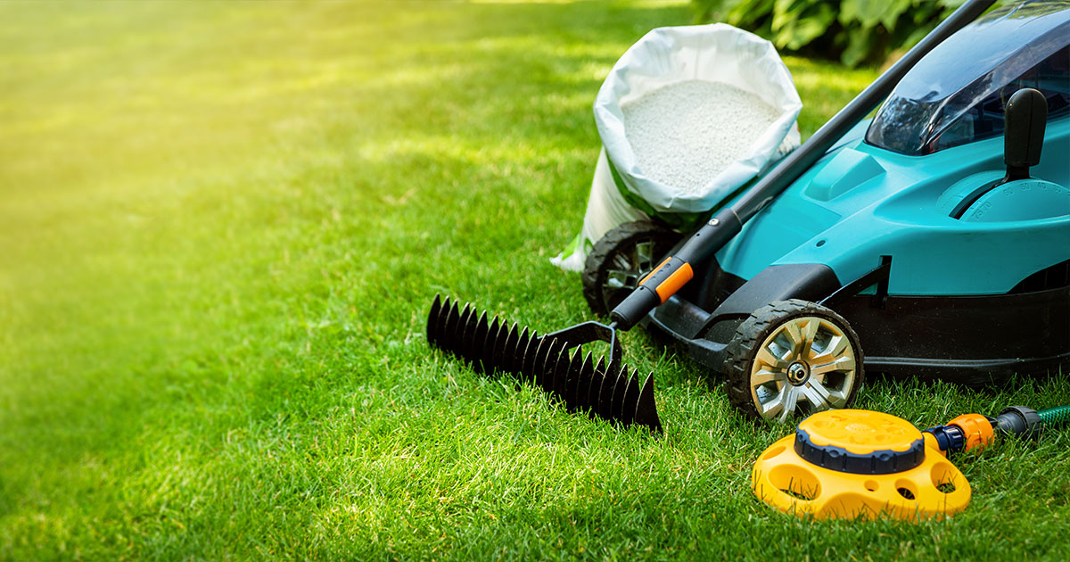 garden lawn care tools and equipment for perfect green grass.