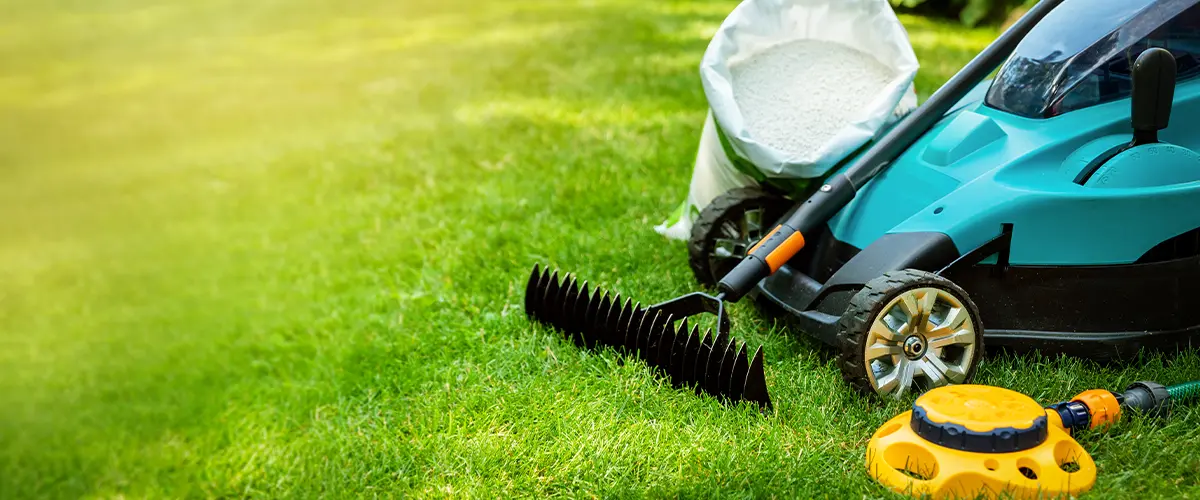 garden lawn care tools and equipment for perfect green grass. Scarifier Vs Dethatcher Vs Aerator In Denver, CO