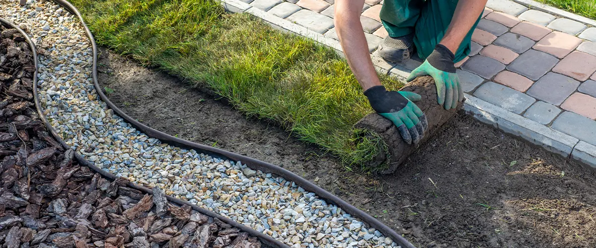 Denver landscape renovation with lush greenery and garden path.