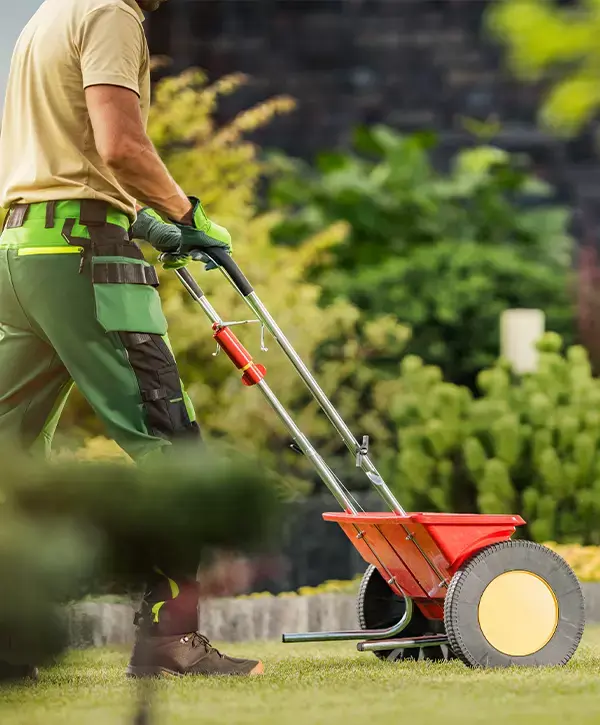 Landscape Renovation In Denver, CO