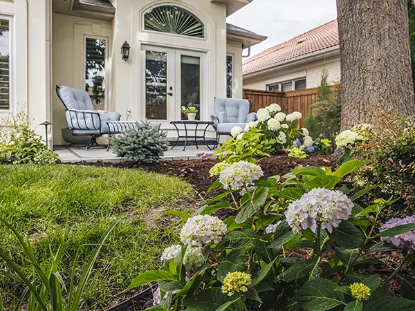 Landscaped front yard with hydrangeas and seating area by house entrance.