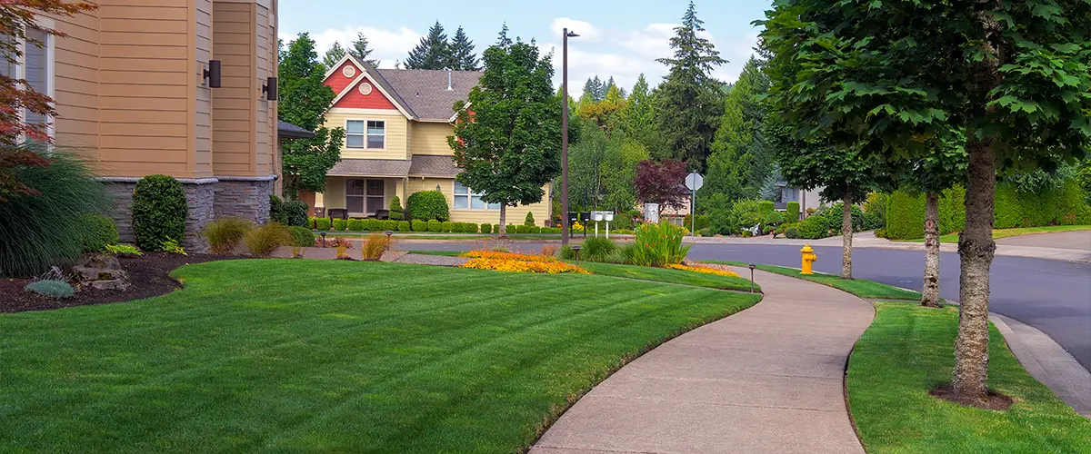 Suburban neighborhood with manicured lawns, trees, and a winding sidewalk leading to well-maintained homes on a clear, sunny day