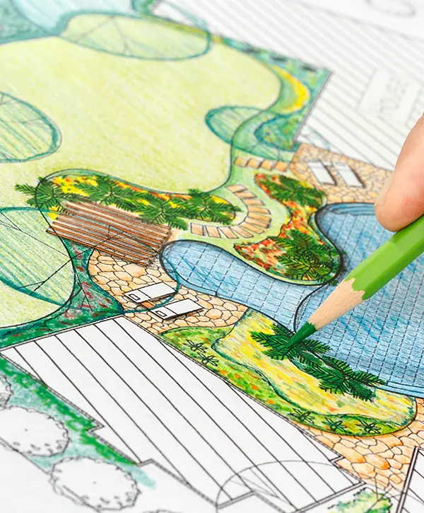 Close-up of a hand drawing a detailed landscape design plan with colored pencils