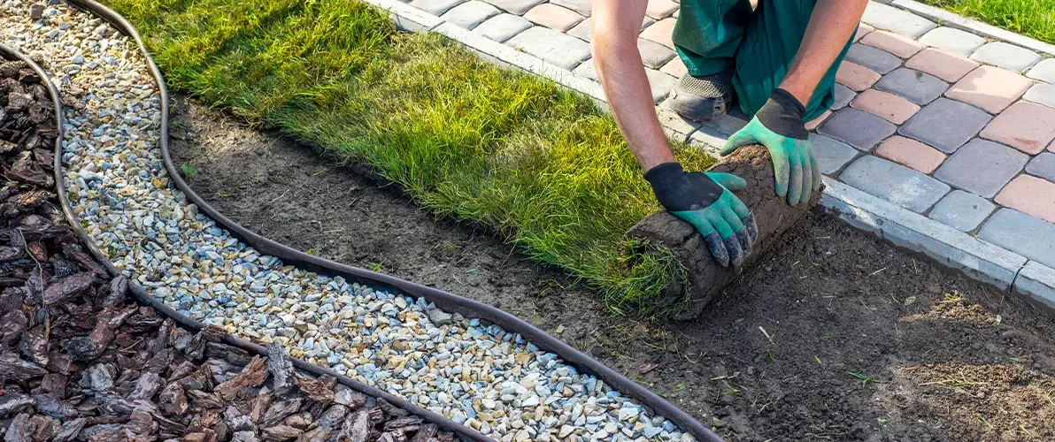 Landscaper laying sod in a backyard with defined mulch and gravel borders, creating a lush green lawn.