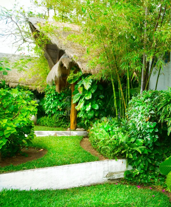 Tropical garden retreat with vibrant plants and a thatched roof gazebo.