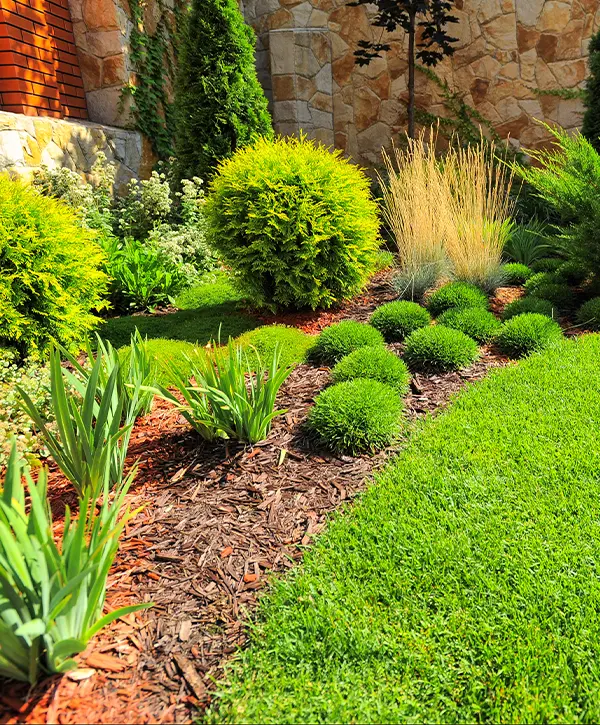 Landscape Design in Glendale, CO