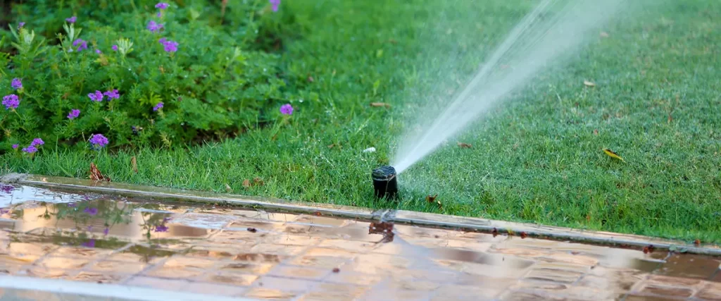 sprinkler watering lawn