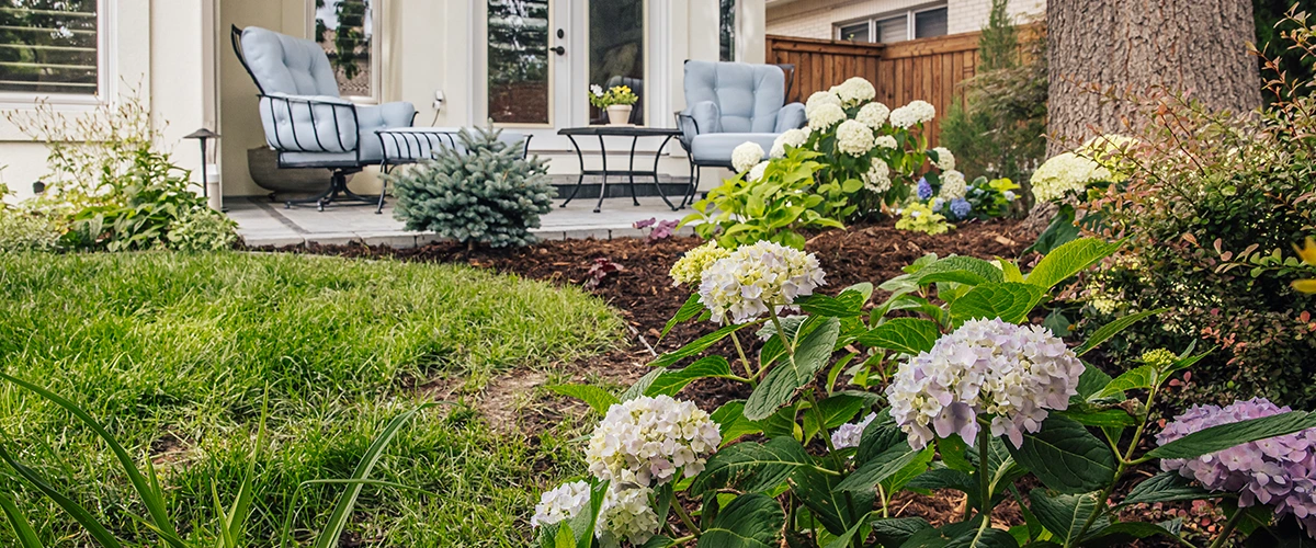Backyard landscape featuring hydrangeas, patio seating, and manicured garden bed with flowering plants.