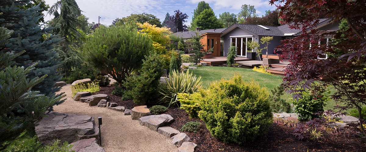 Backyard landscape design with mixed shrubs, stone edging, and spacious lawn