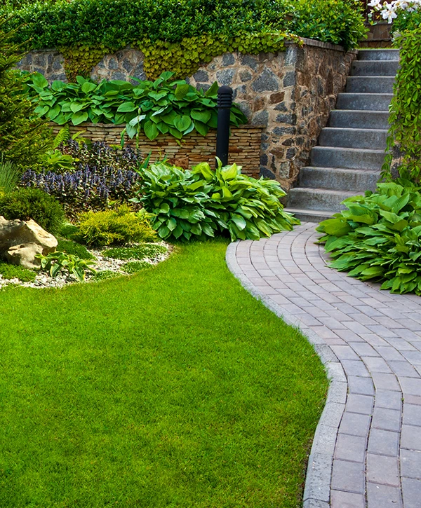 Stone steps with curved paver walkway surrounded by hostas and ornamental plants
