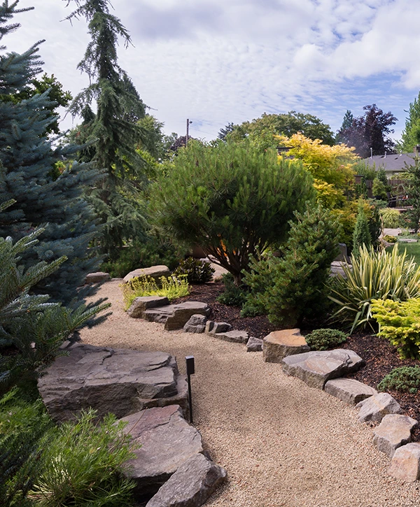 Gravel garden path with large stepping stones surrounded by dense landscaping