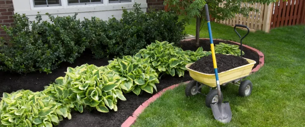 a garden bed maintenance scene, highlighting the process and benefits of mulching