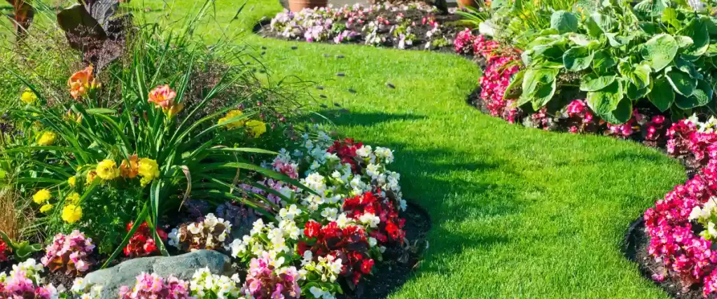 a well-maintained garden featuring a winding green grass path bordered by vibrant flower beds and various plants