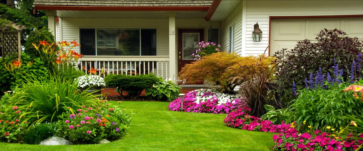 A beautifully designed front yard landscape featuring a variety of colorful pink and orange flowers, ornamental grasses, and small shrubs bordering a lush green lawn in front of a white house.