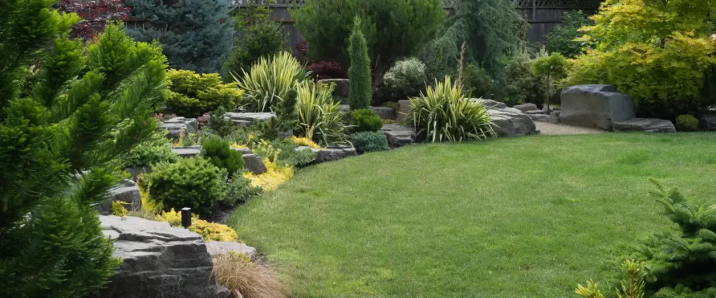 Year-Round Landscape Design in Colorado: What Actually Works in Every Season (2026 Update)
