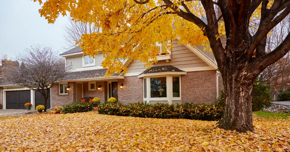 a house featuring a brick exterior and a large tree with vibrant yellow autumn foliage