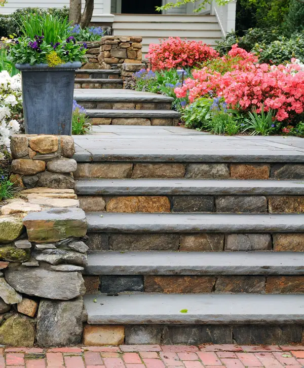 Natural flagstone stairs with a stacked stone retaining wall featuring purple pansies in a planter and pink blooming shrubs in a Dakota Ridge, CO garden.
