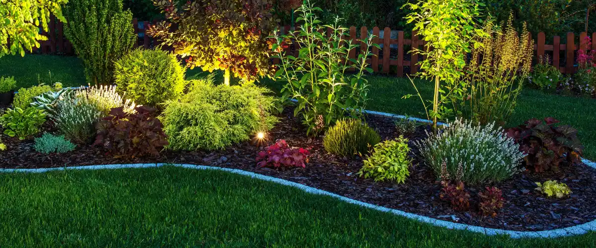 a landscaped garden feature illuminated by outdoor spotlights