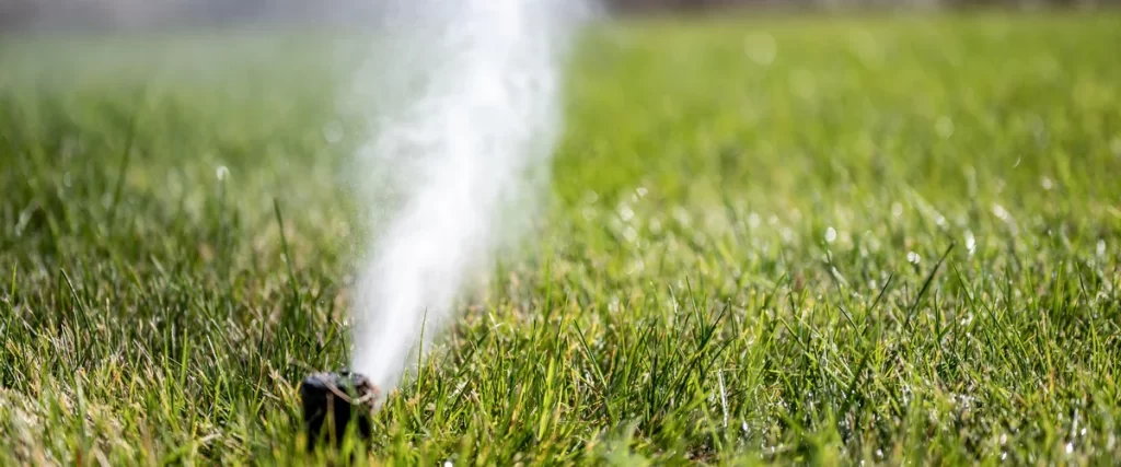 A focused view of a lawn sprinkler head spraying a fine water mist across a vibrant green grass field during a system test.